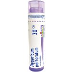 HYPERICUM PERFORATUM POR 30CH GRA 1X4G – Hledejceny.cz