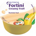 FORTINI CREAMY FRUIT MULTI FIBRE LETNÍ OVOCE POR SOL 4X100G – Hledejceny.cz
