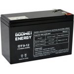 Goowei Energy 12V/9Ah OT9-12 OT9-12 – Sleviste.cz