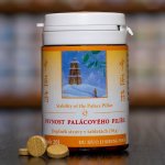 TCM Herbs Pevnost palácového pilíře 100 tablet – Sleviste.cz