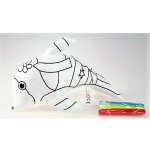 Lamps Vybarvovací zvířátko Malovací delfín 18 x 12 cm – Hledejceny.cz