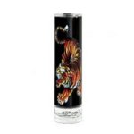 Christian Audigier Ed Hardy toaletní voda pánská 100 ml tester – Hledejceny.cz