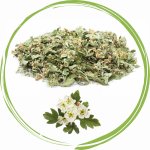Koňské bylinky Hloh obecný list květ Crataegus laevigata Poir. DC 1 kg – Hledejceny.cz