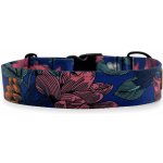 PafDog Široký obojek pro psy – Sleviste.cz