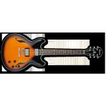 Ibanez AS 73 – Hledejceny.cz