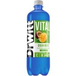 DrWitt Vital Brain Boost Mango & Maracuja PET 0,75 l – Hledejceny.cz