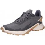 Salomon Hypulse black/Rainy Day/black – Hledejceny.cz