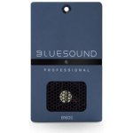 Bluesound Professional B160S – Hledejceny.cz