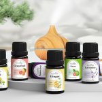 Estone vonný olej Gitronella 10 ml – Hledejceny.cz