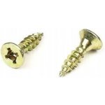 Šrouby do dřeva WT WINTECH a.s. 1 x 1 mm 1 ks – Hledejceny.cz