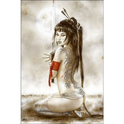 FANTASY ART OF ROYO Official 2014 – Hledejceny.cz