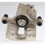 AGR-Ventil TRISCAN 8813 25201