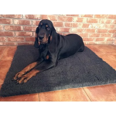 Vetbed Original Deka pro psy – Zboží Dáma