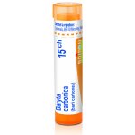 BARYTA CARBONICA POR 15CH GRA 1X4G – Hledejceny.cz