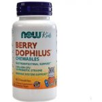 Now Foods Probiotikum Berry Dophilus Kids 10 kmenů 60 cucací tablety – Hledejceny.cz