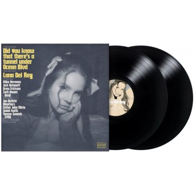 Del Rey Lana - Did You Know That There's a Tunnel Under. Vinyl – Hledejceny.cz