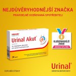 Urinal Akut 10 tablet – Hledejceny.cz