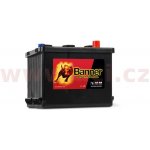 Banner Starting Bull 6V 77Ah 450A 077 18 | Zboží Auto