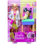 Barbie povolání herní set dětská doktorka blondýnka – Zboží Mobilmania