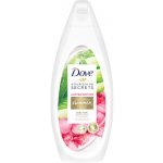 Dove Soothing Summer Ritual Aloe Vera a Voda z růží sprchový gel 500 ml – Zbozi.Blesk.cz