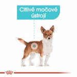 Royal Canin Mini Urinary Care 8 kg – Zboží Mobilmania