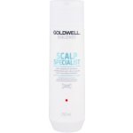 Goldwell Dualsenses Scalp Specialist Anti Dandruf Shampoo 250 ml – Zboží Mobilmania