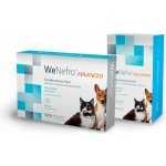 WeNefro Advanced podpora ledvin 30 ml – Hledejceny.cz