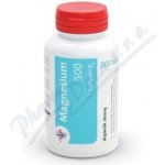 Fagron Magnesium 500 + vit.B6 100 tablet – Hledejceny.cz
