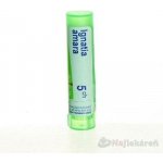 IGNATIA AMARA POR 5CH GRA 1X4G – Hledejceny.cz