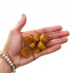 Animals Kolagenová srdíčka s kořenem pampelišky heřmánkem a inulinem +25 % Gratis 100 g – Hledejceny.cz