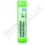 CAULOPHYLLUM THALICTROIDES POR 5CH GRA 1X4G – Hledejceny.cz