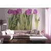 Tapety AG design FTS-0065 Papírová fototapeta Violet Tulips big rozměry 360 x 254 cm