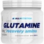 AllNutrition Glutamine Recovery Amino 500 g – Zboží Dáma