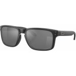 Oakley Holbrook – Zbozi.Blesk.cz