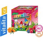 Terezia Company Rakytníček veganské želé Trpaslíci příchuť divoké ovoce 90 bonbónů – Hledejceny.cz