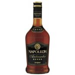 Fernet Stock Napoleon Ambassador 28% 0,7 l (holá láhev) – Sleviste.cz