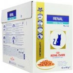 Royal Canin VD Cat Renal Fish 12 x 85 g – Zbozi.Blesk.cz