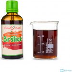 Bylinné kapky Bršlice kapky Duše rostlin tinktura 50 ml – Hledejceny.cz