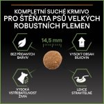 Pro Plan Large Puppy Robust Healthy Start kuře 12 kg – Hledejceny.cz