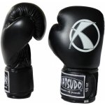 Tapout MMA sparingové rukavice Ruction – Hledejceny.cz