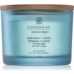 Chesapeake Bay Reflection + Clarity 312 g – Zboží Mobilmania