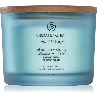 Chesapeake Bay Reflection + Clarity 312 g – Zboží Mobilmania