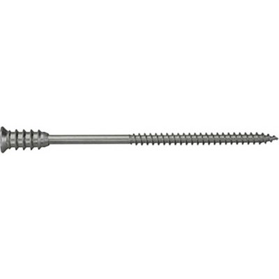 SWG 2346608010 nastavovací šroub 6 mm 80 mm TX ocel galvanizováno zinkem 50 ks – Hledejceny.cz