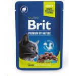 Brit Premium Cat Sterilised Lamb 100 g – Zbozi.Blesk.cz