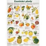 Plakát - Exotické plody – Zbozi.Blesk.cz