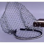 B-TOP Krystalová čelenka do vlasů se závojem Druh barvy: Bílá – Hledejceny.cz