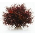 BiOrb Sea lilies karmínová 11 cm – Hledejceny.cz