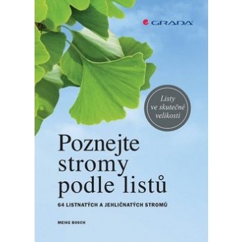 Poznejte stromy podle listů