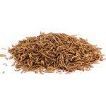 KH sušení mouční červi 250 g – Zboží Dáma