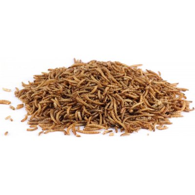 KH sušení mouční červi 250 g – Zboží Dáma